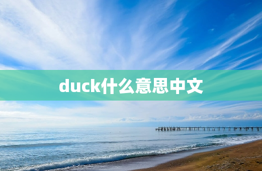 duck什么意思中文